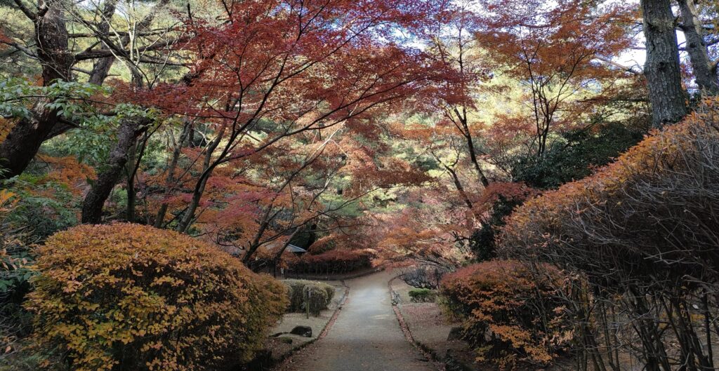 深山公園　紅葉