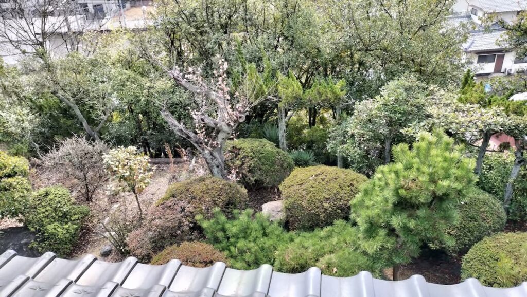2階から見た庭
