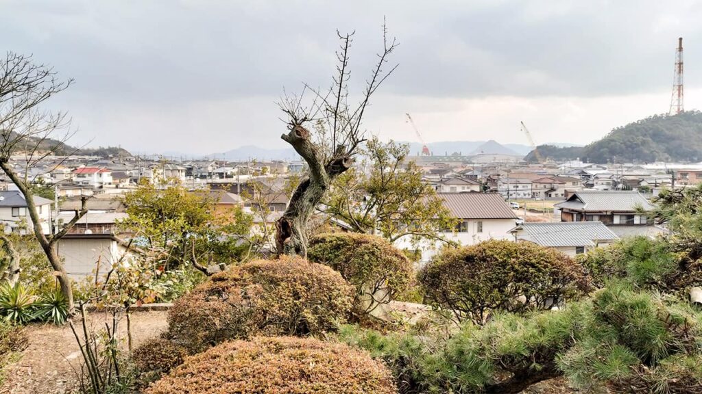 【2026/1撮影】高台の開放感が増したお庭